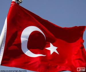 yapboz Türk bayrağı